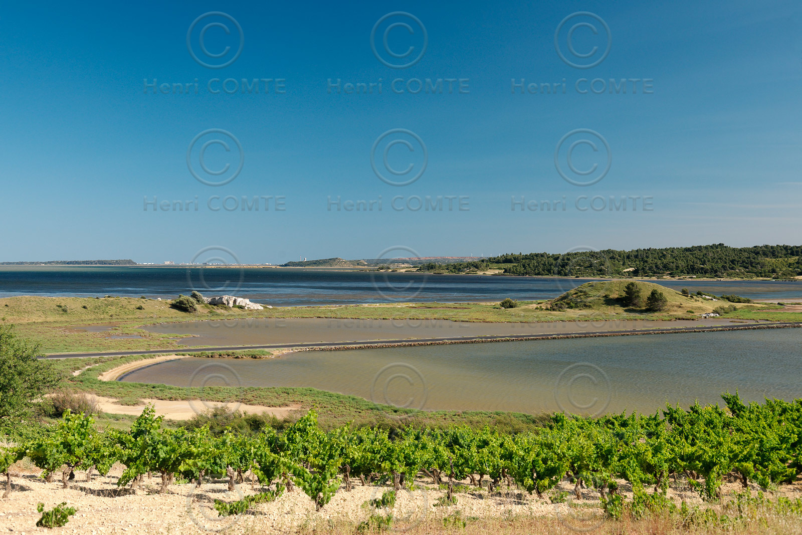 Etang de Bages - Sigean