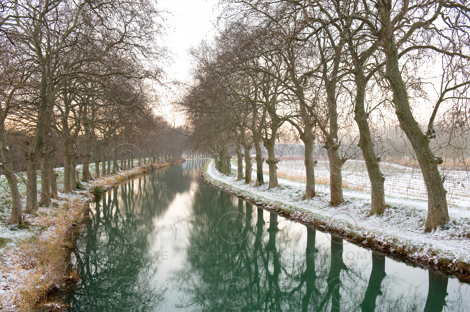 Le canal du Midi