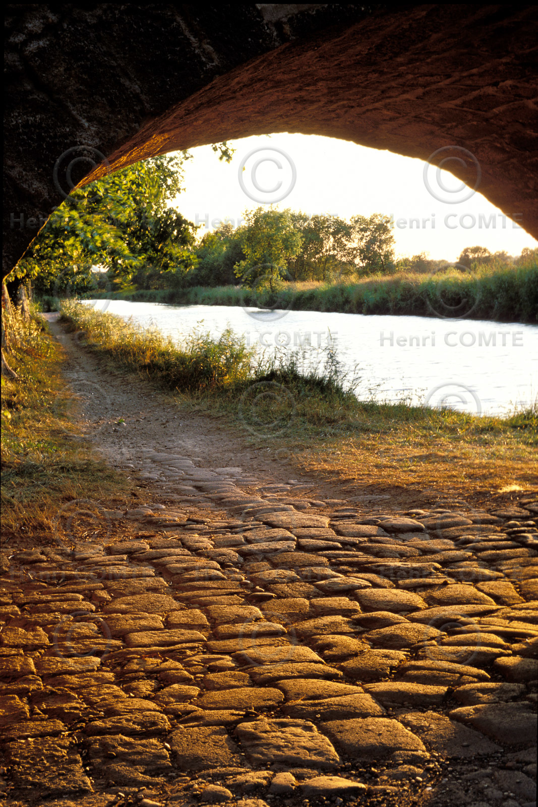 Le canal du Midi