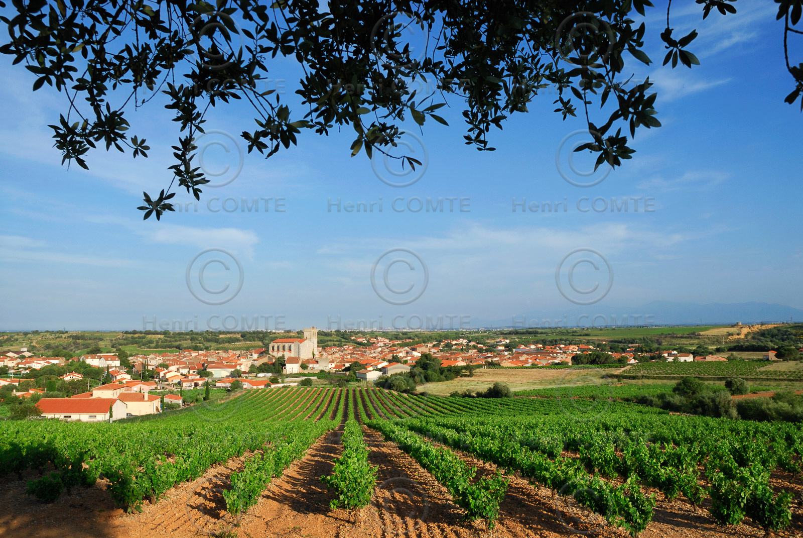 Baixas