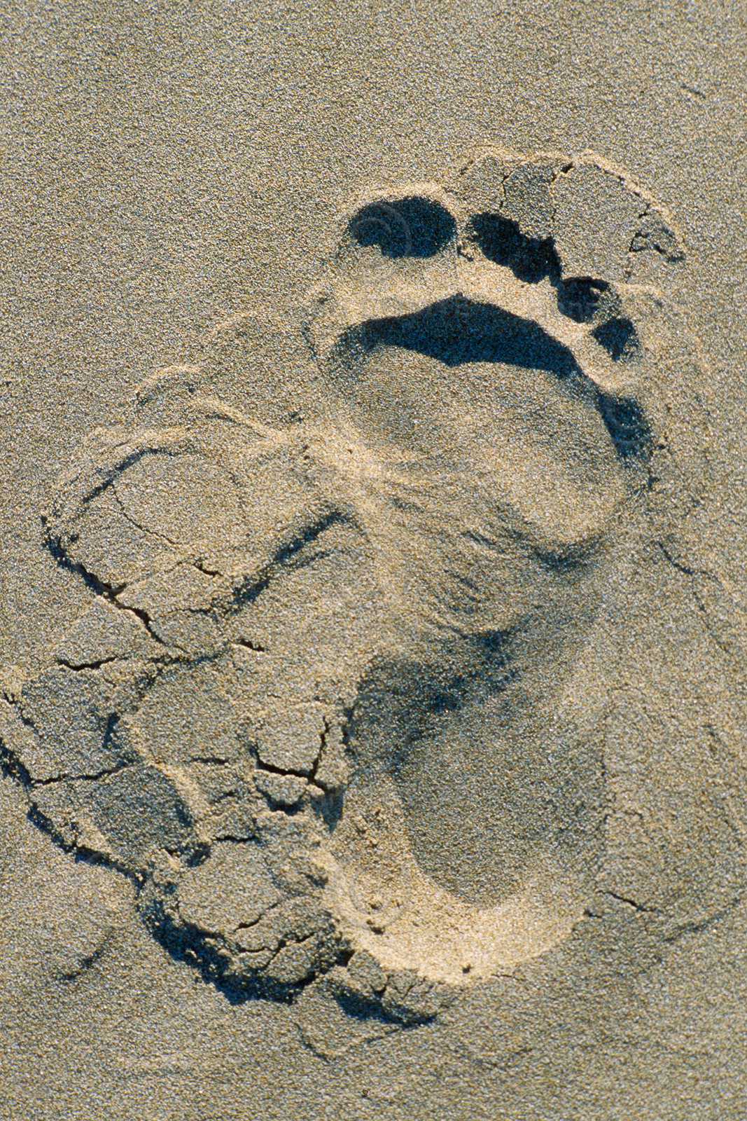 Trace de pas