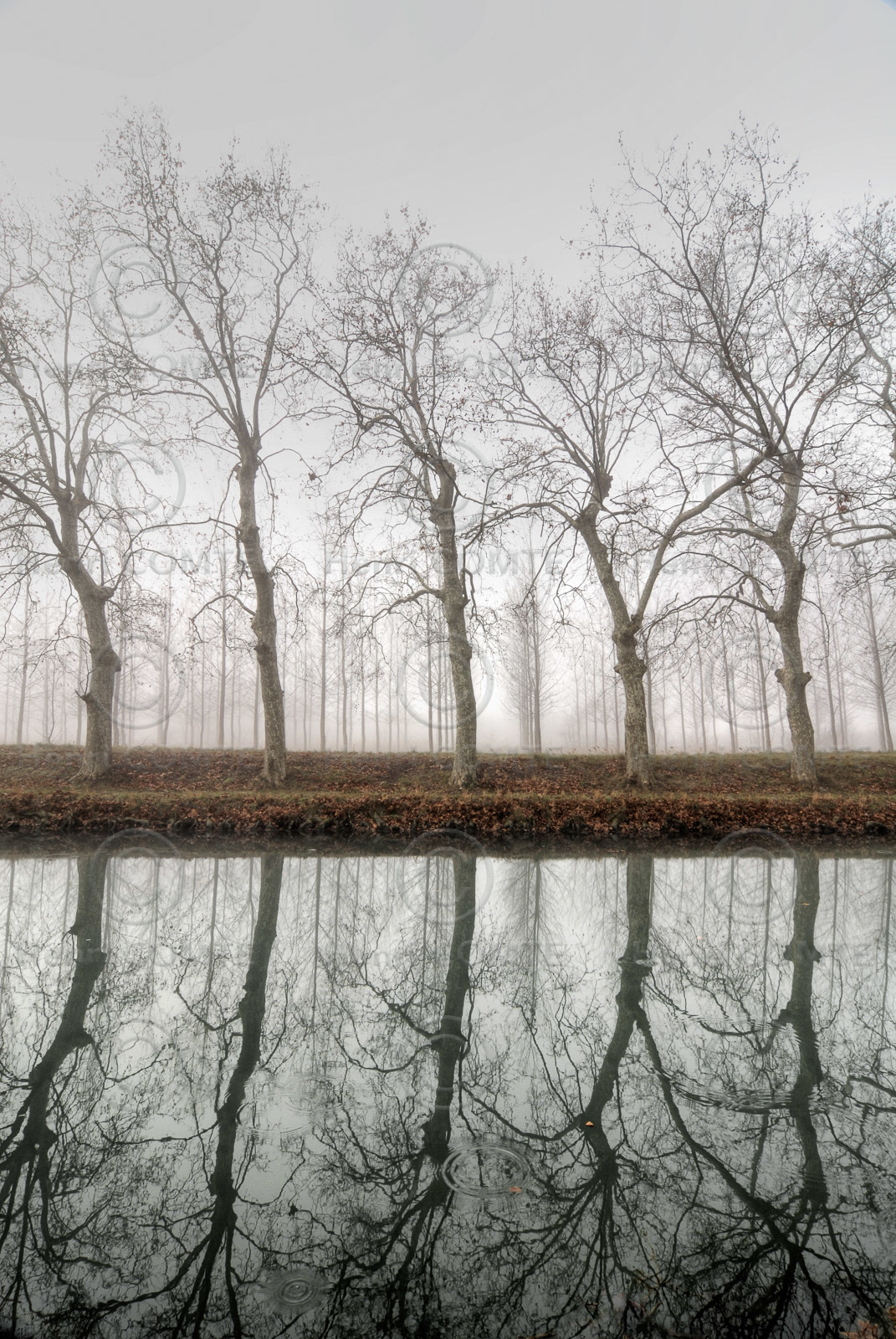 Le canal du Midi