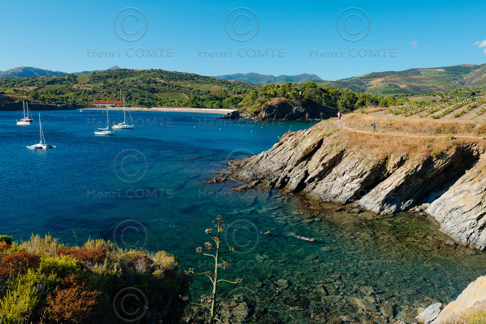 Anse de Paulilles