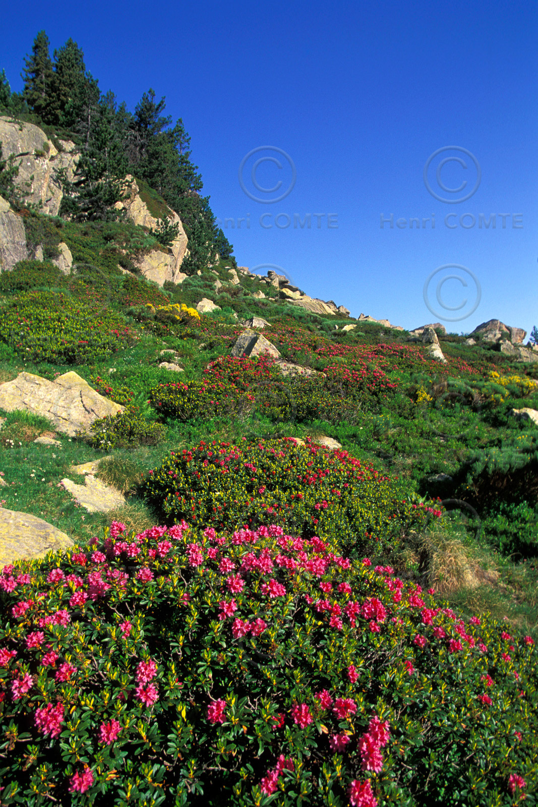 Massif du Carlit