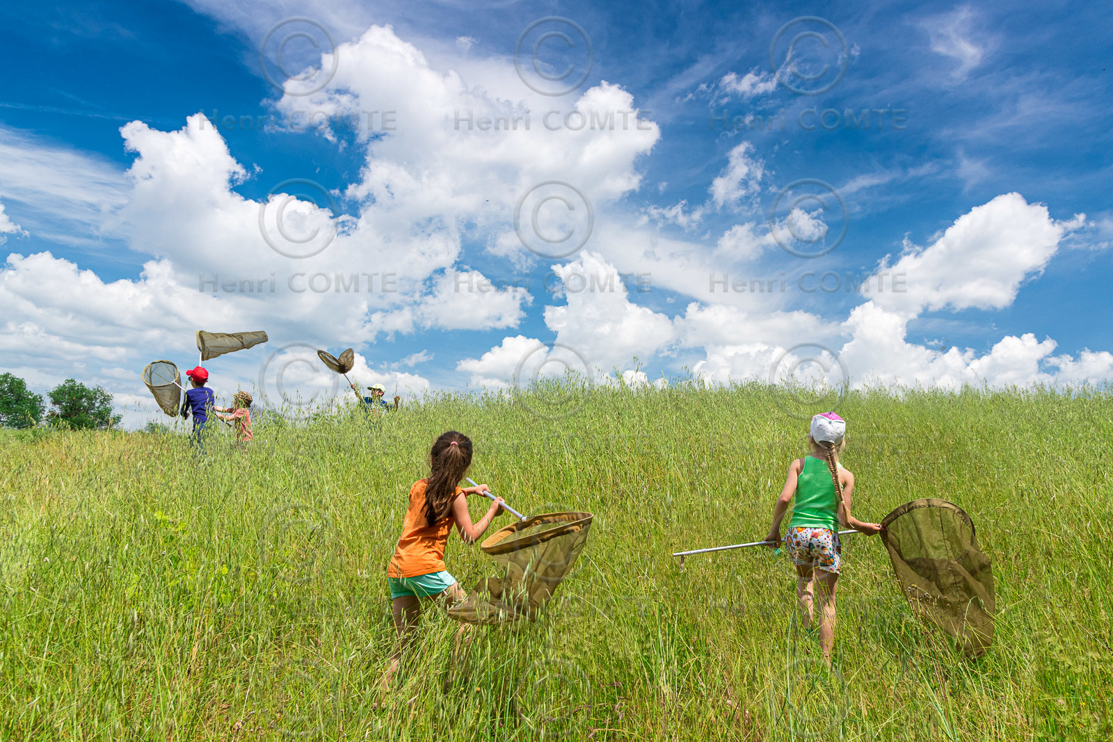 Chasse aux papillons