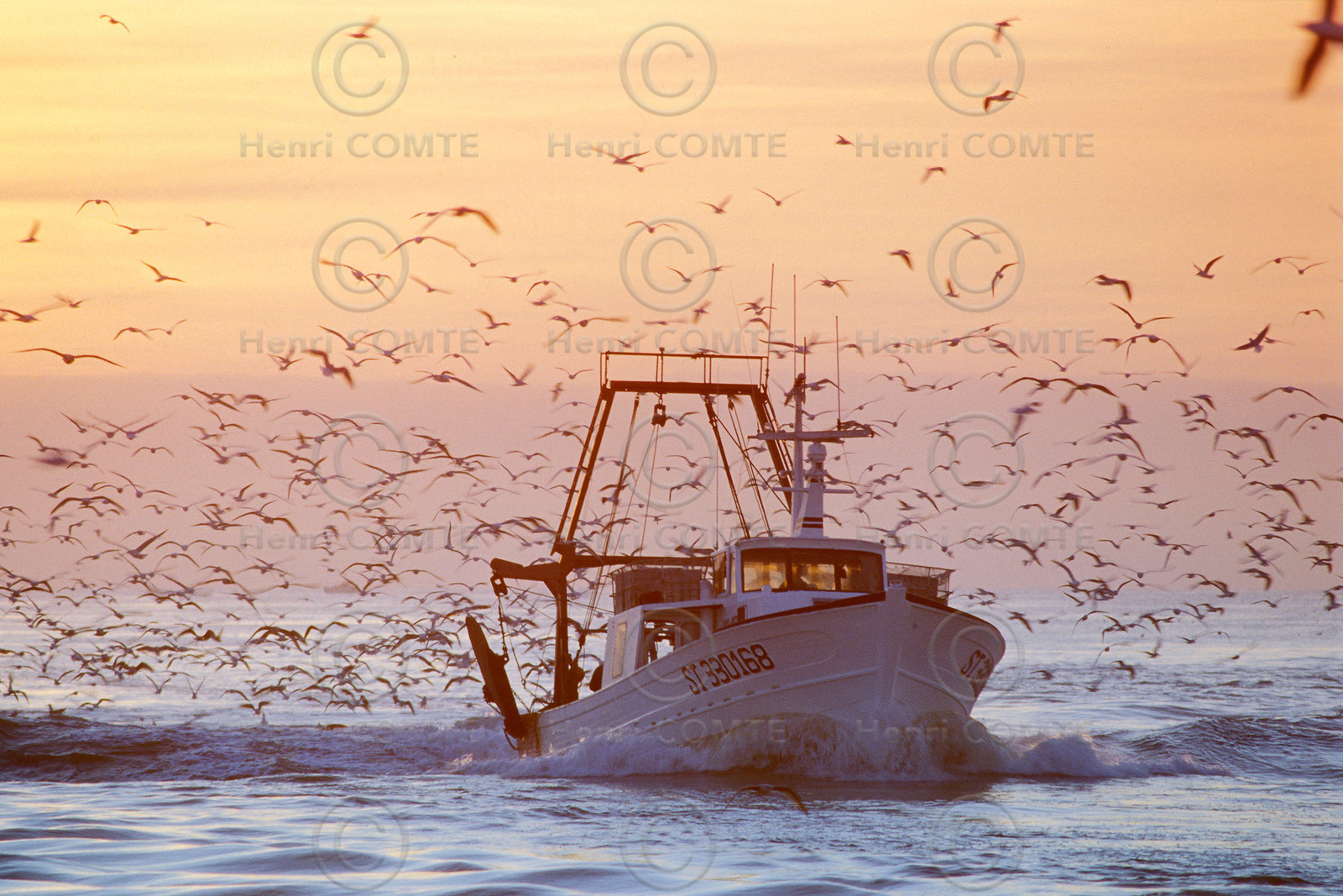 Retour de pêche