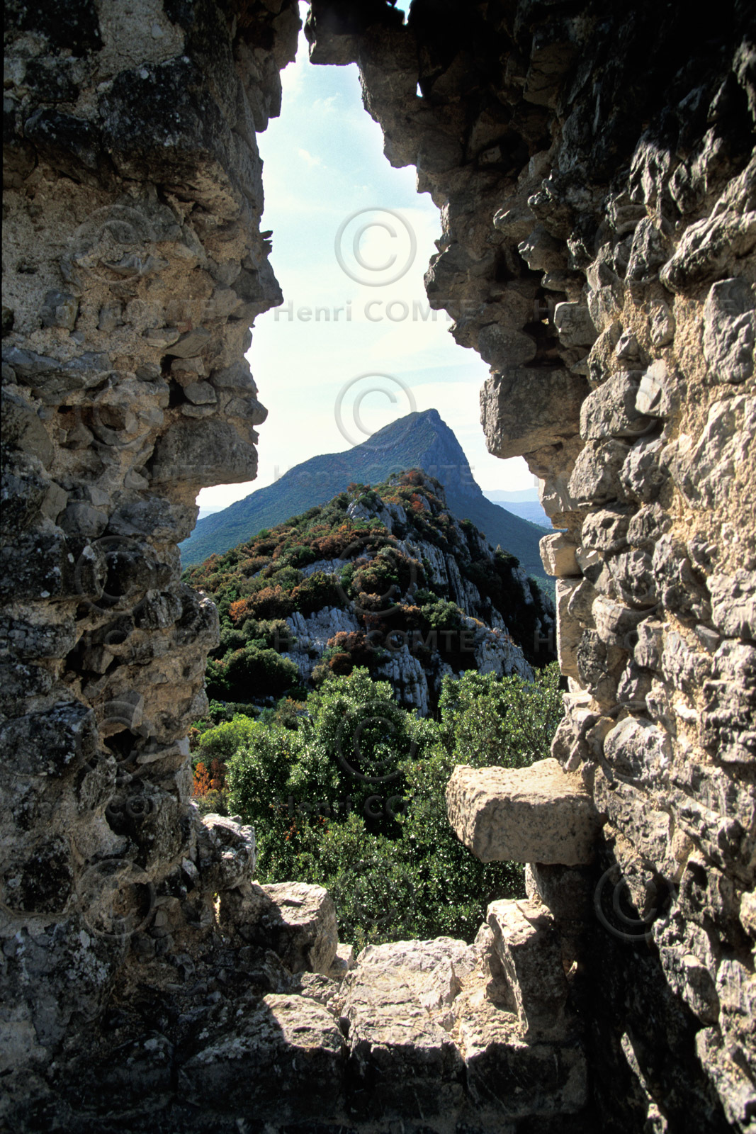 Pic Saint Loup