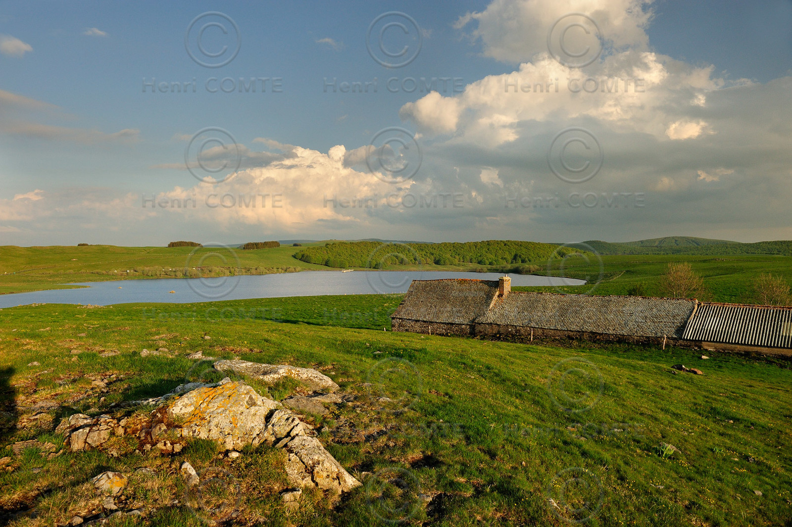 L'Aubrac