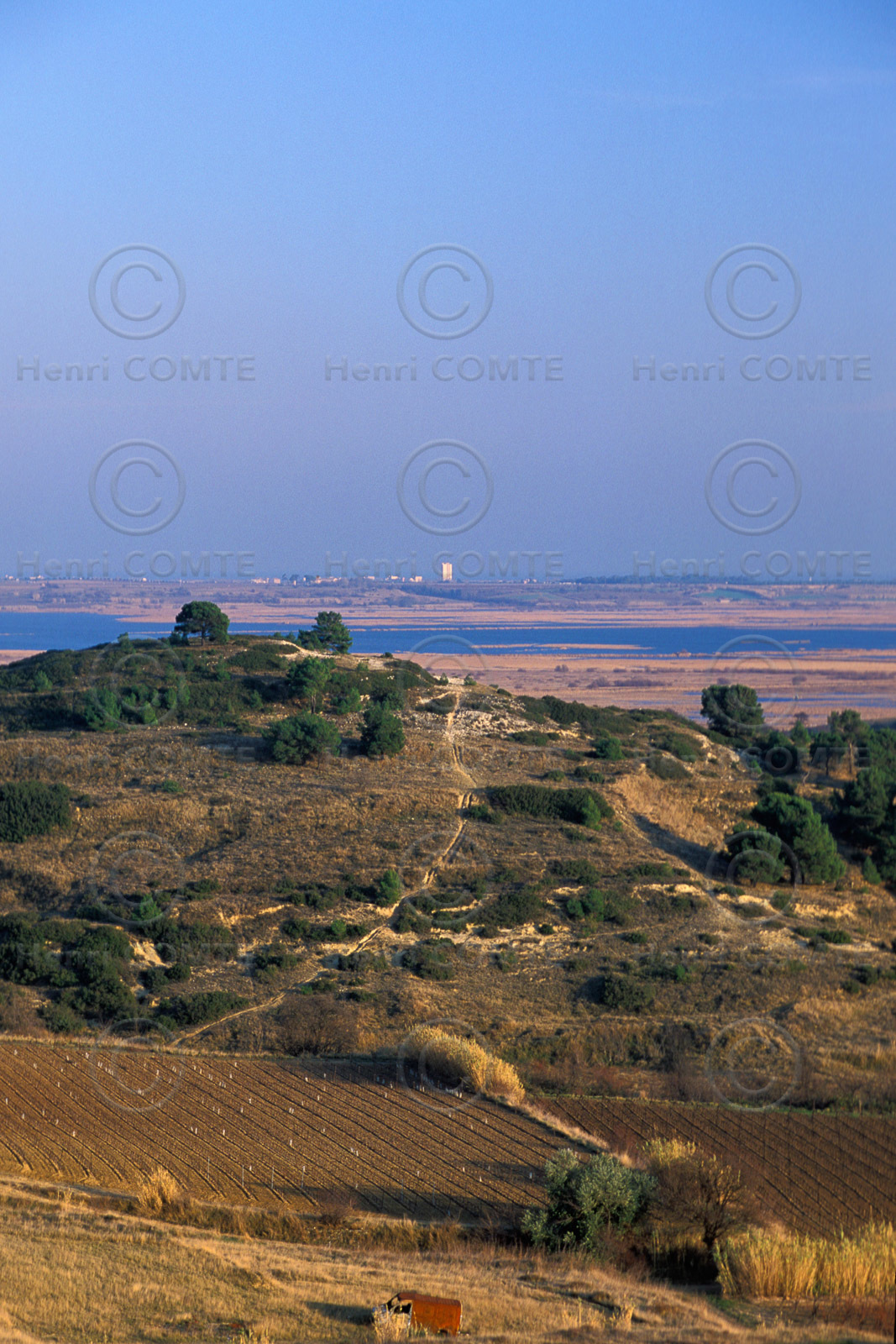 Etang de Vendres