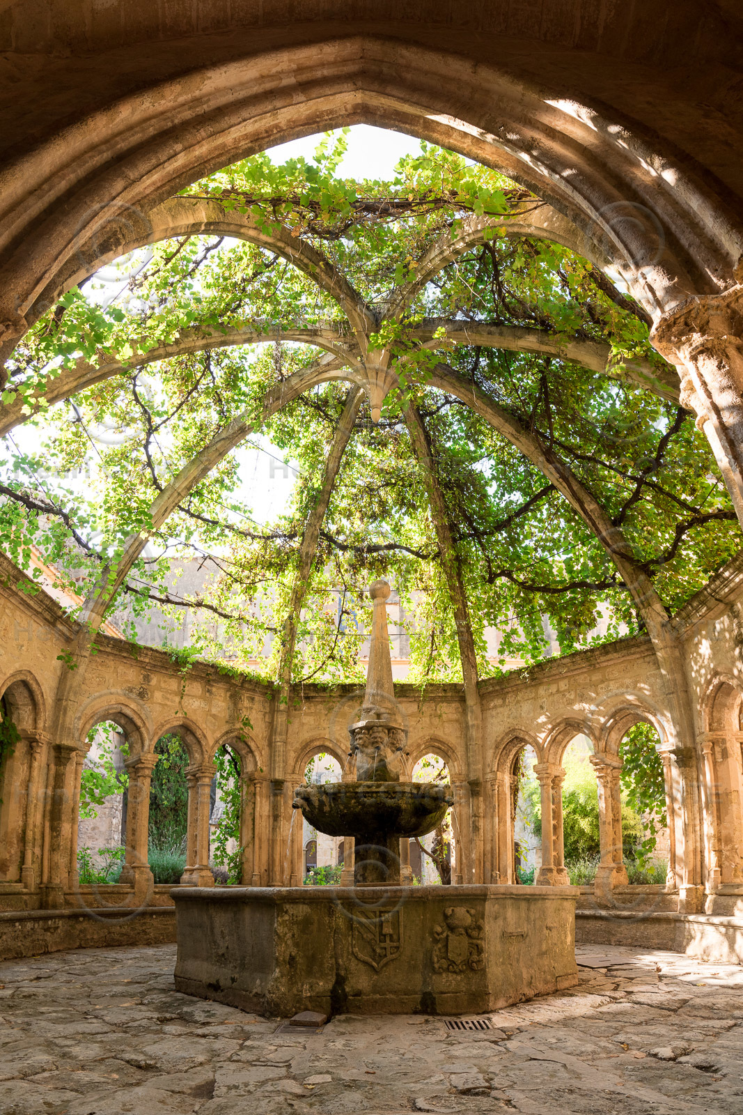 Abbaye de Valmagne