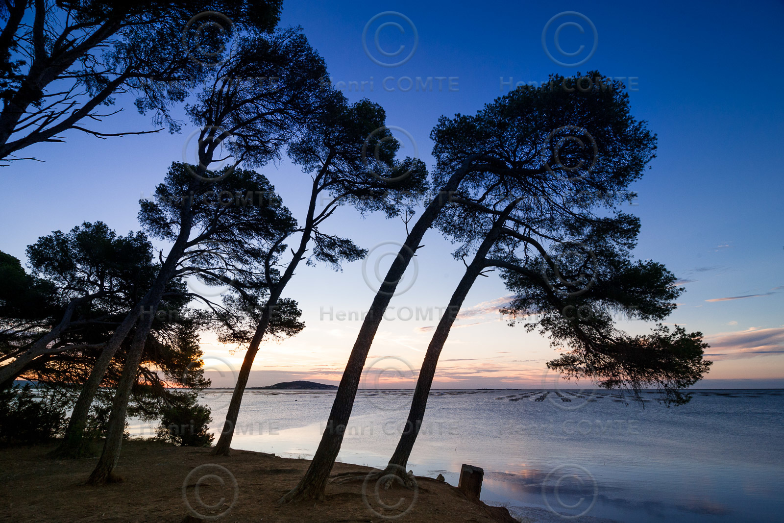 Etang de Thau
