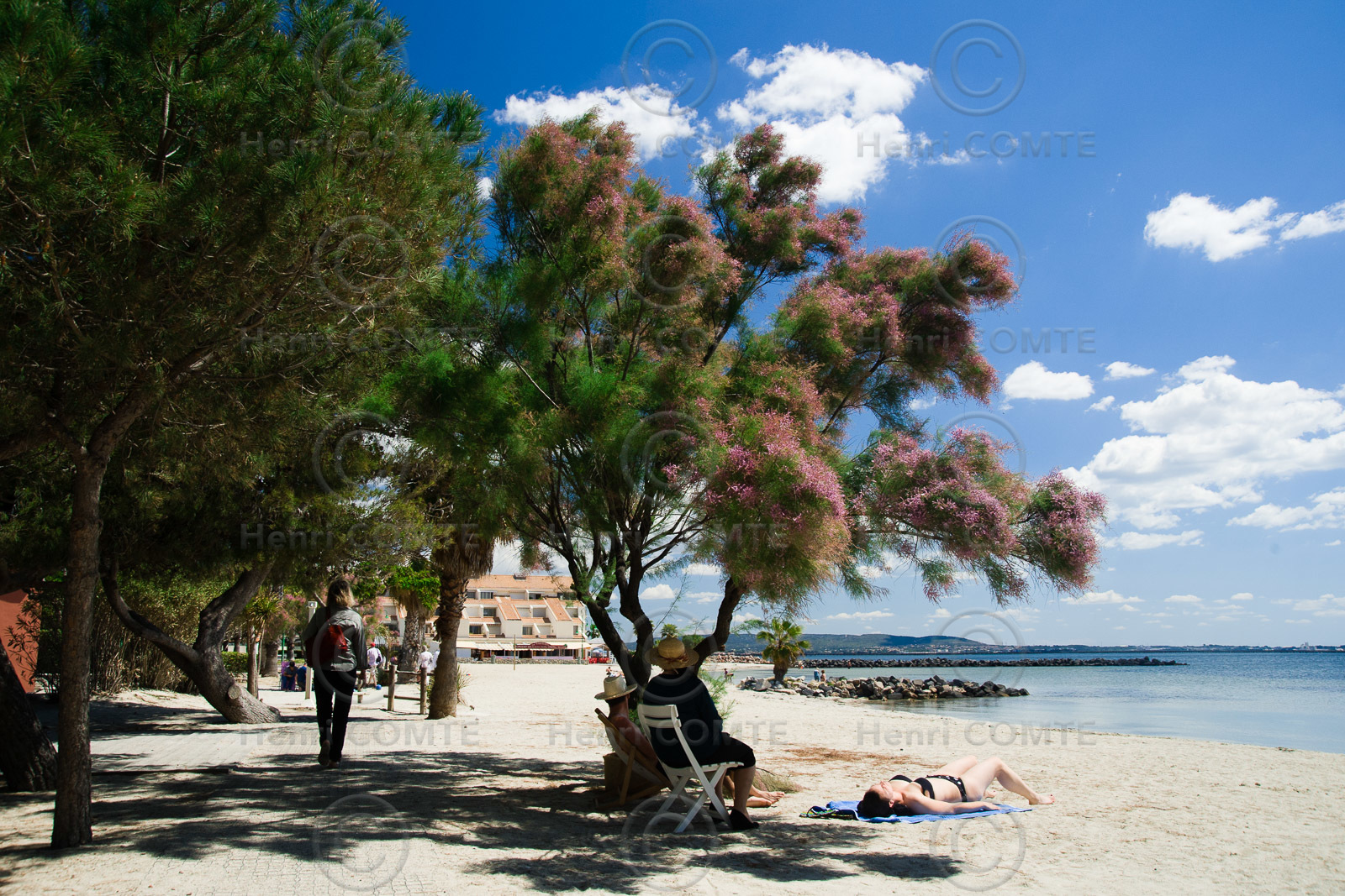 Mèze