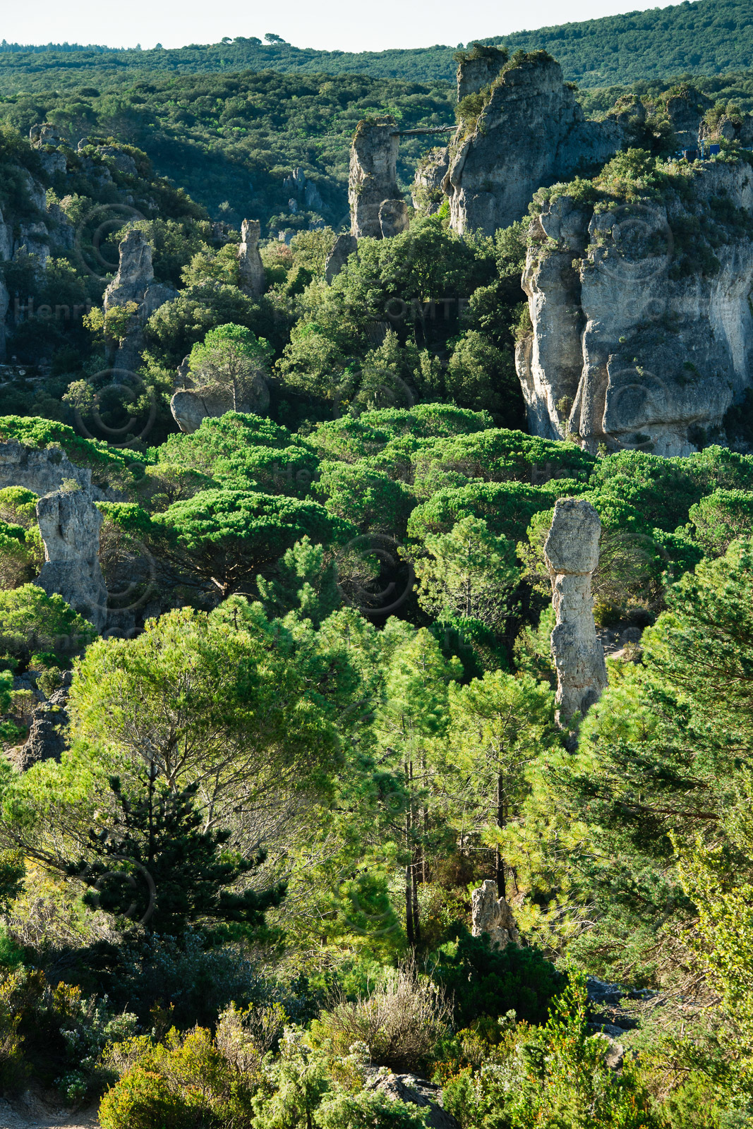Cirque de Moureze