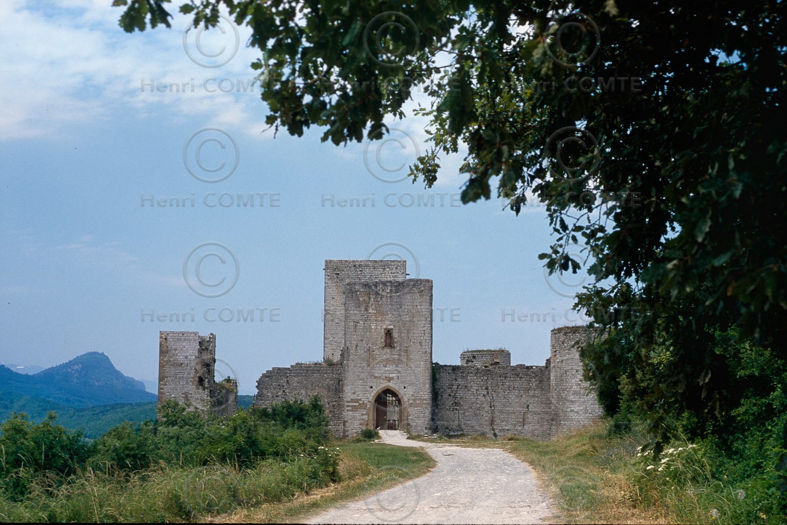 Chateau cathare
