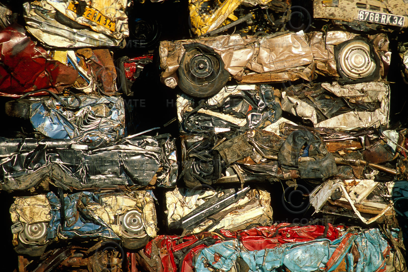 Carcasses