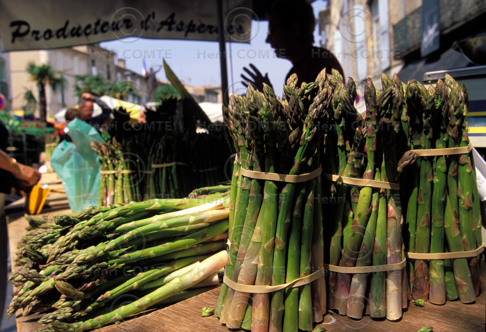 Asperges