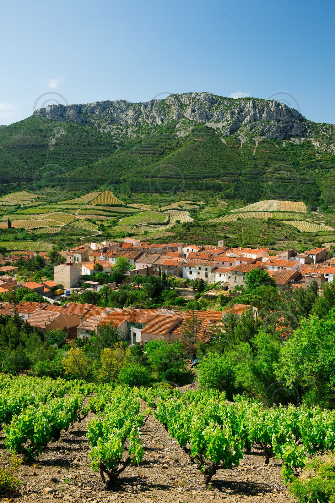 Village de Maury