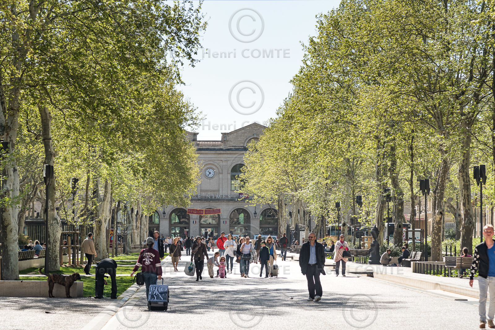 Mobilité urbaine
