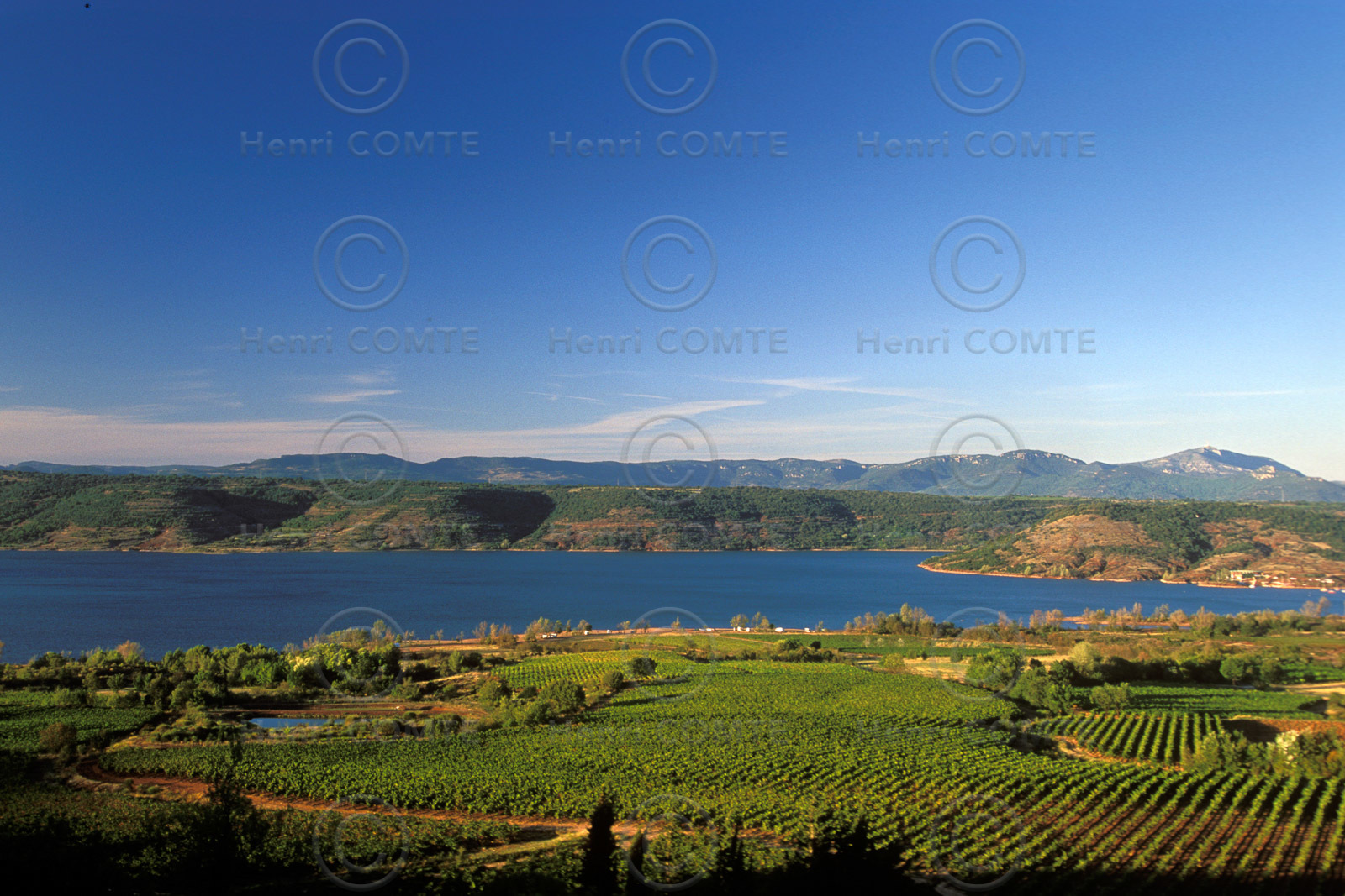 Vignoble du Salagou