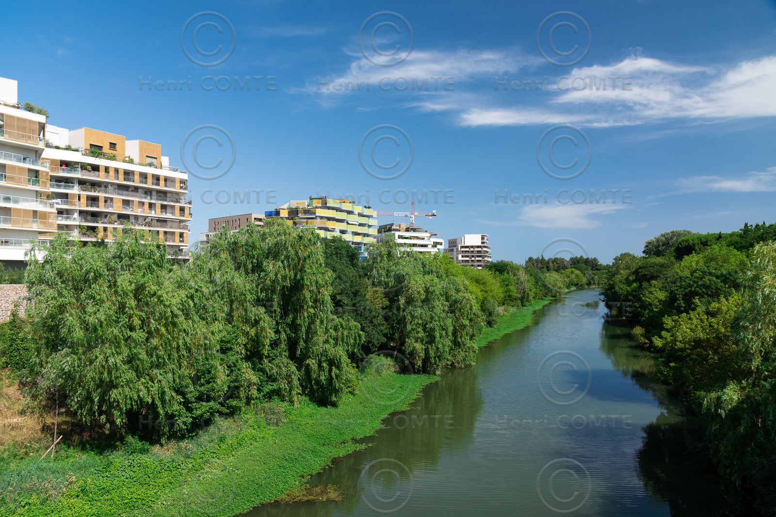 Montpellier