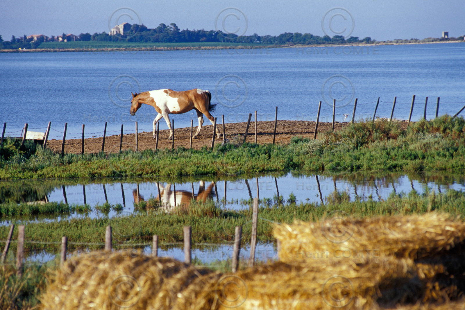 Etang de Palavas