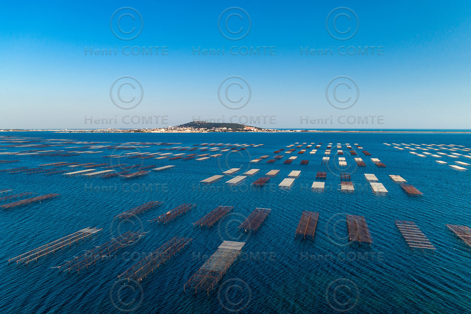 Bassin de Thau