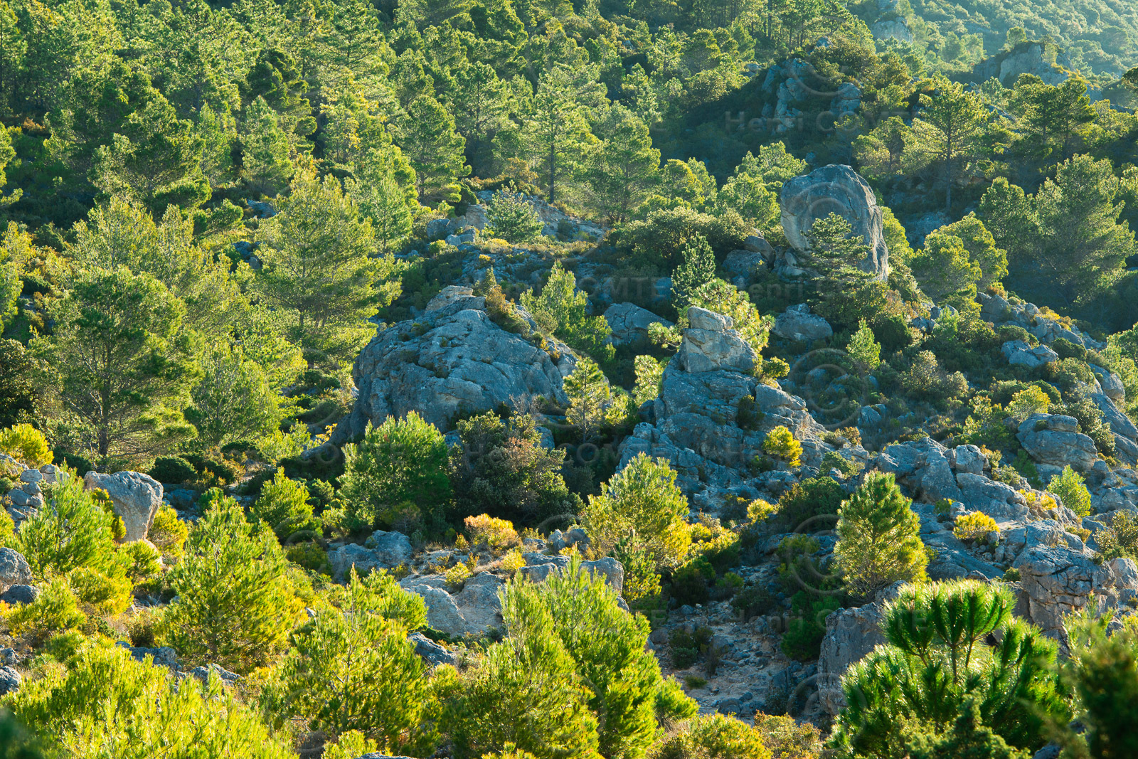 Cirque de Moureze