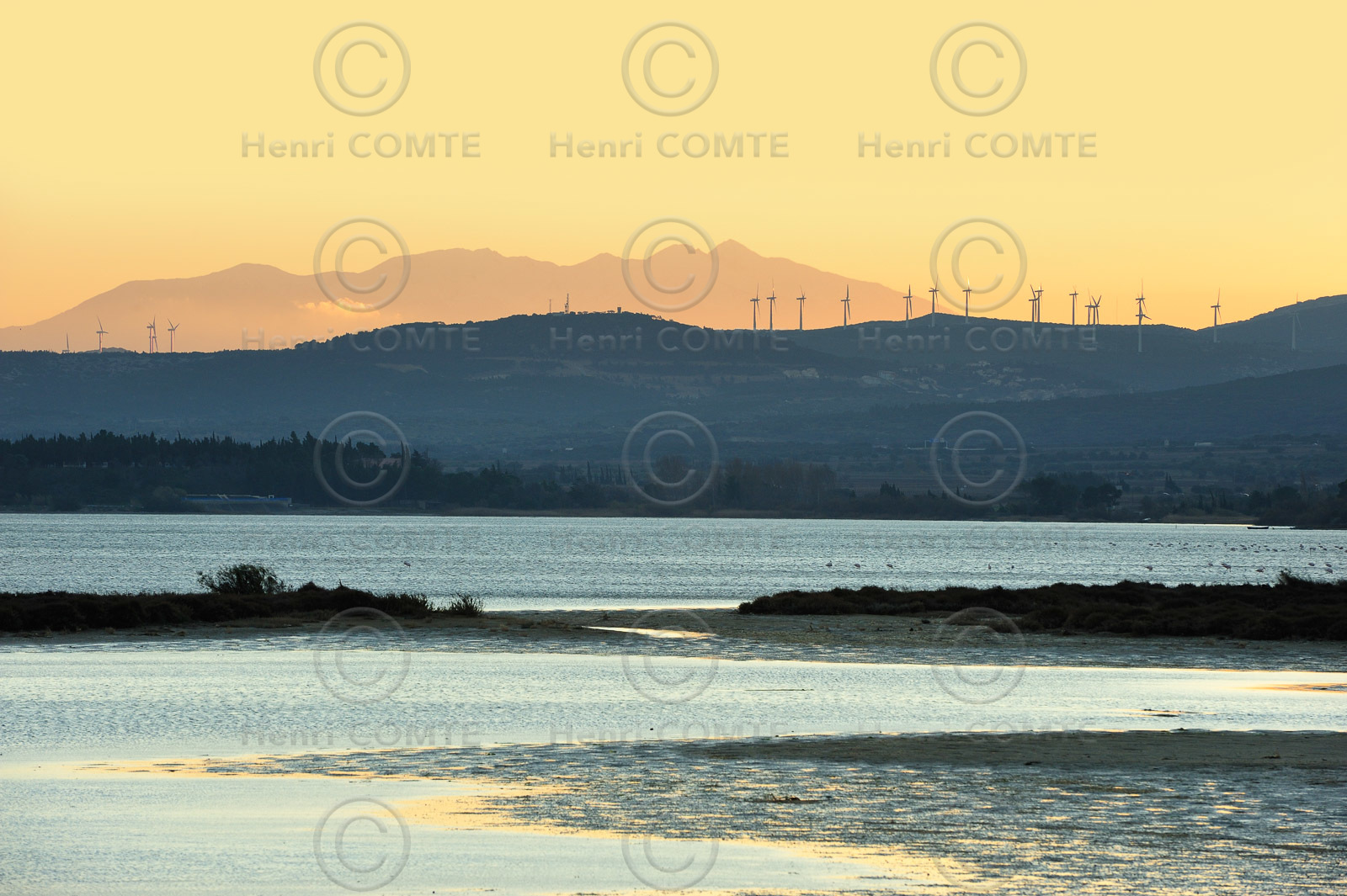 Etang de La Palme