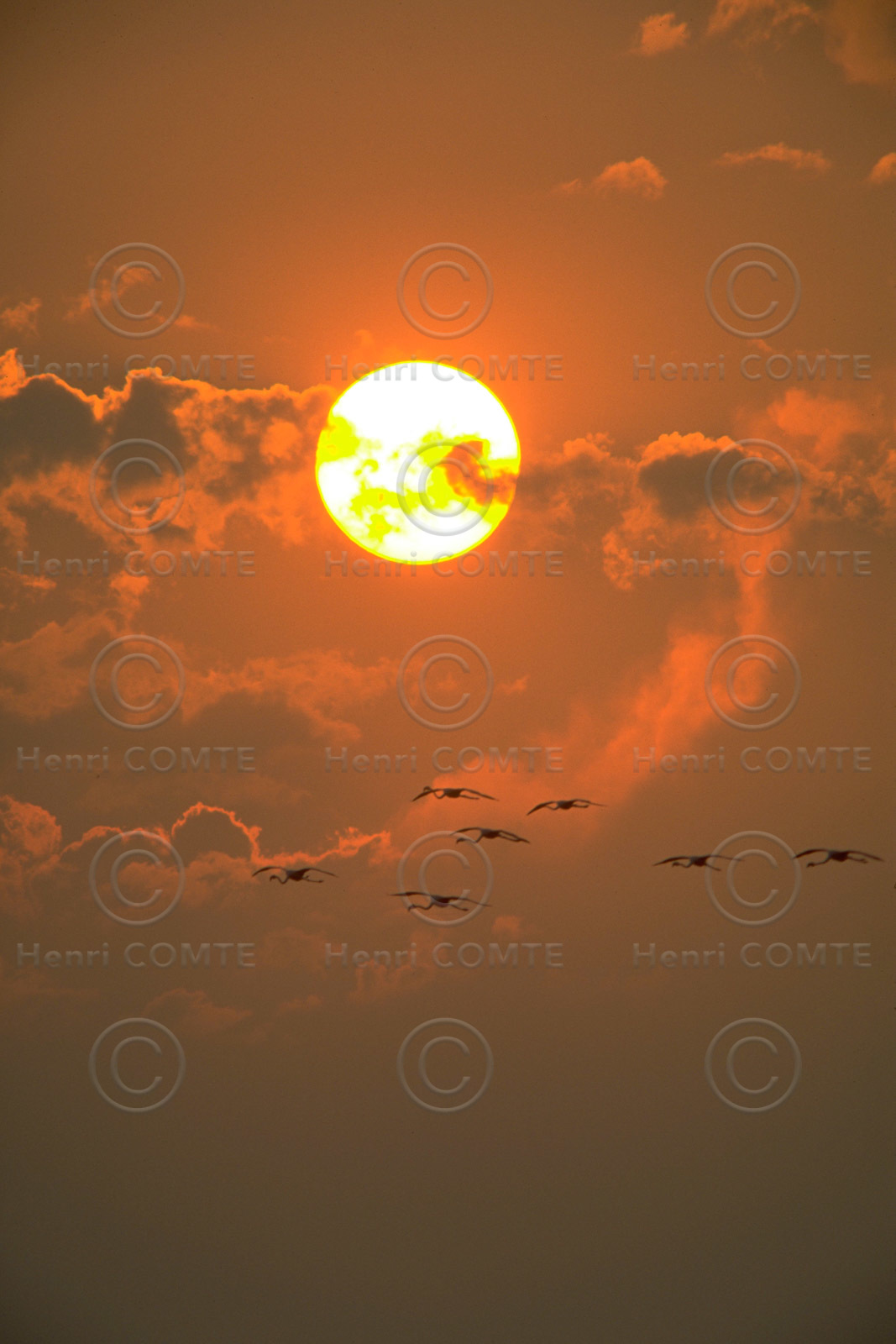 Soleil couchant