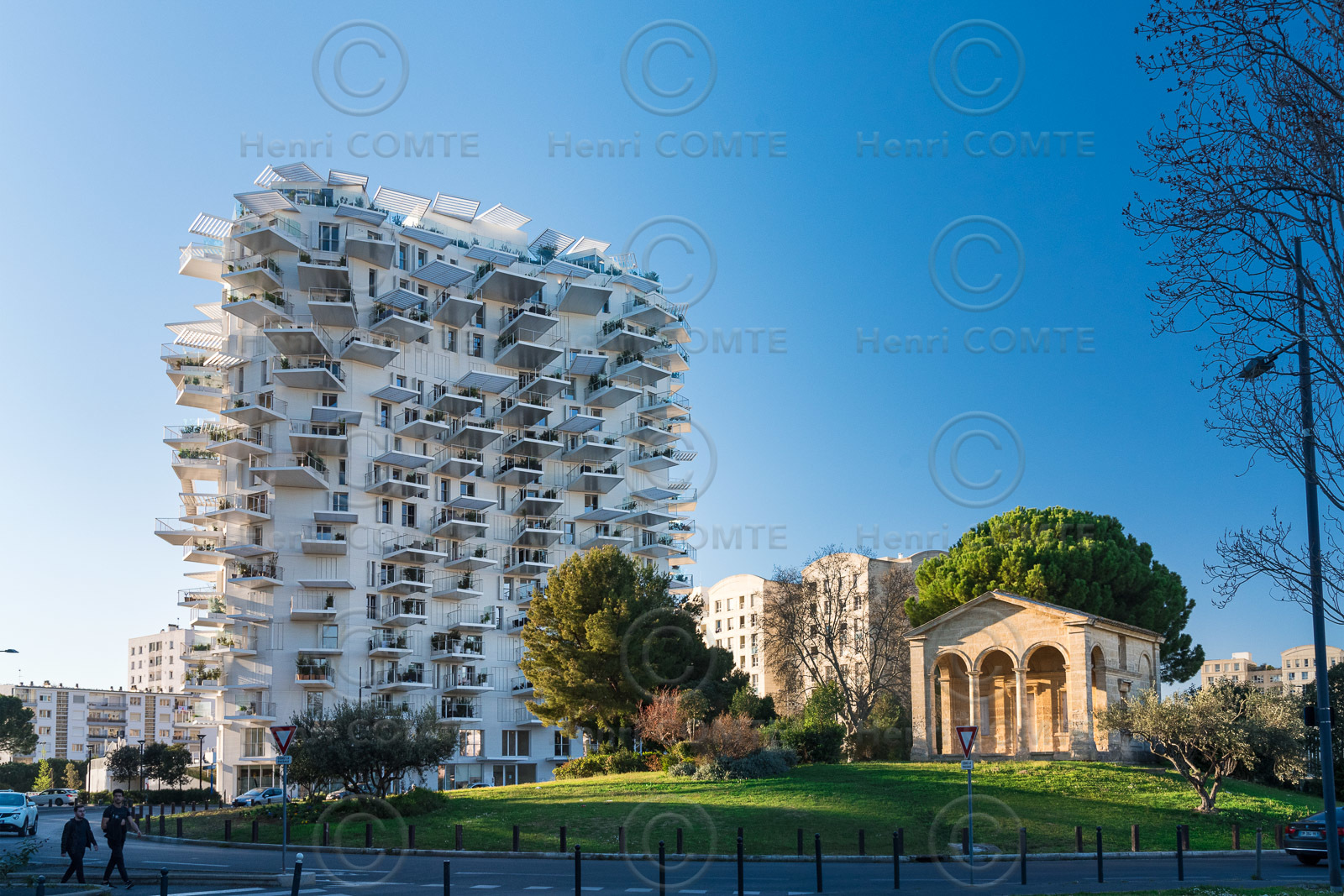 L'Arbre Blanc