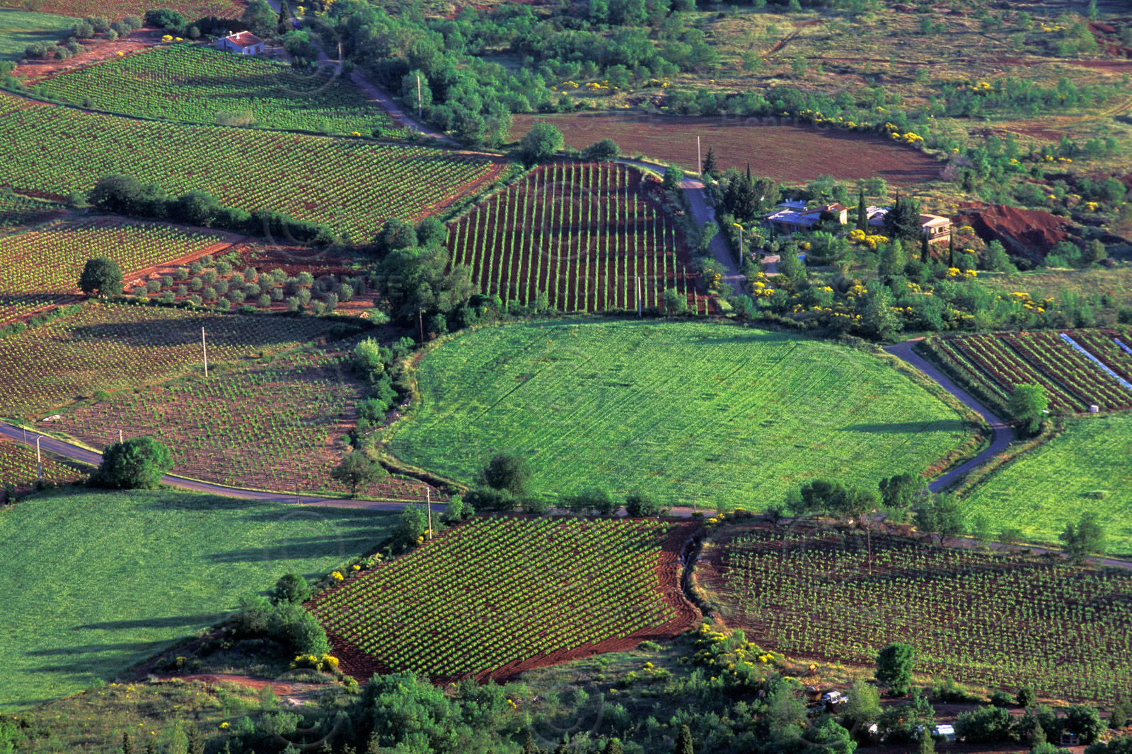 Le Salagou