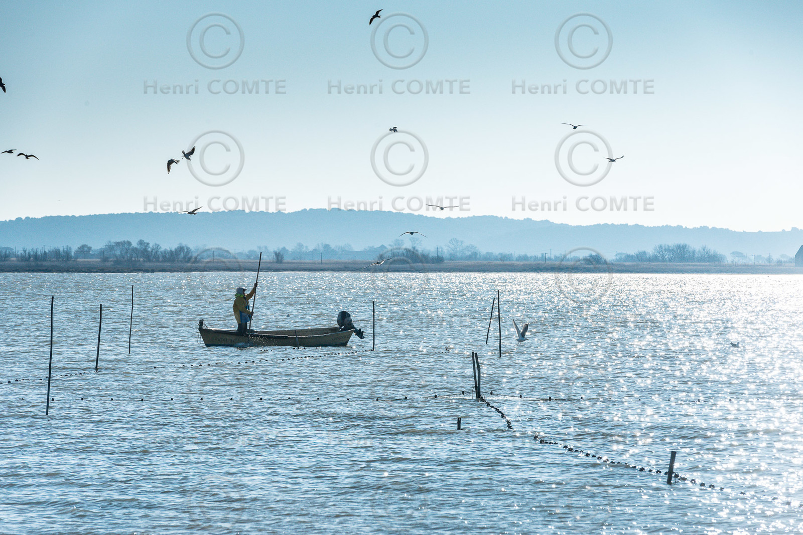 Etang de Bages