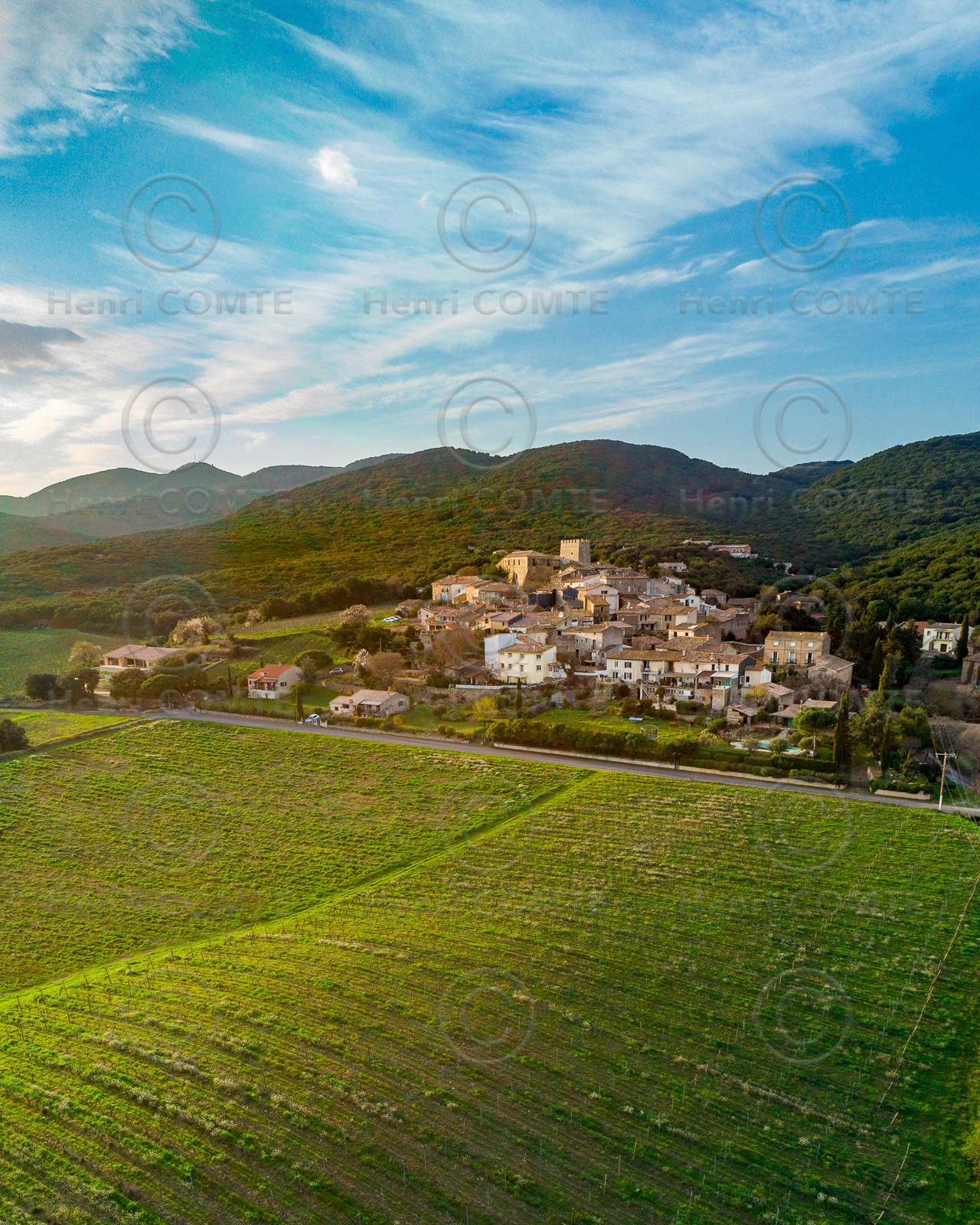 Vignoble Faugères