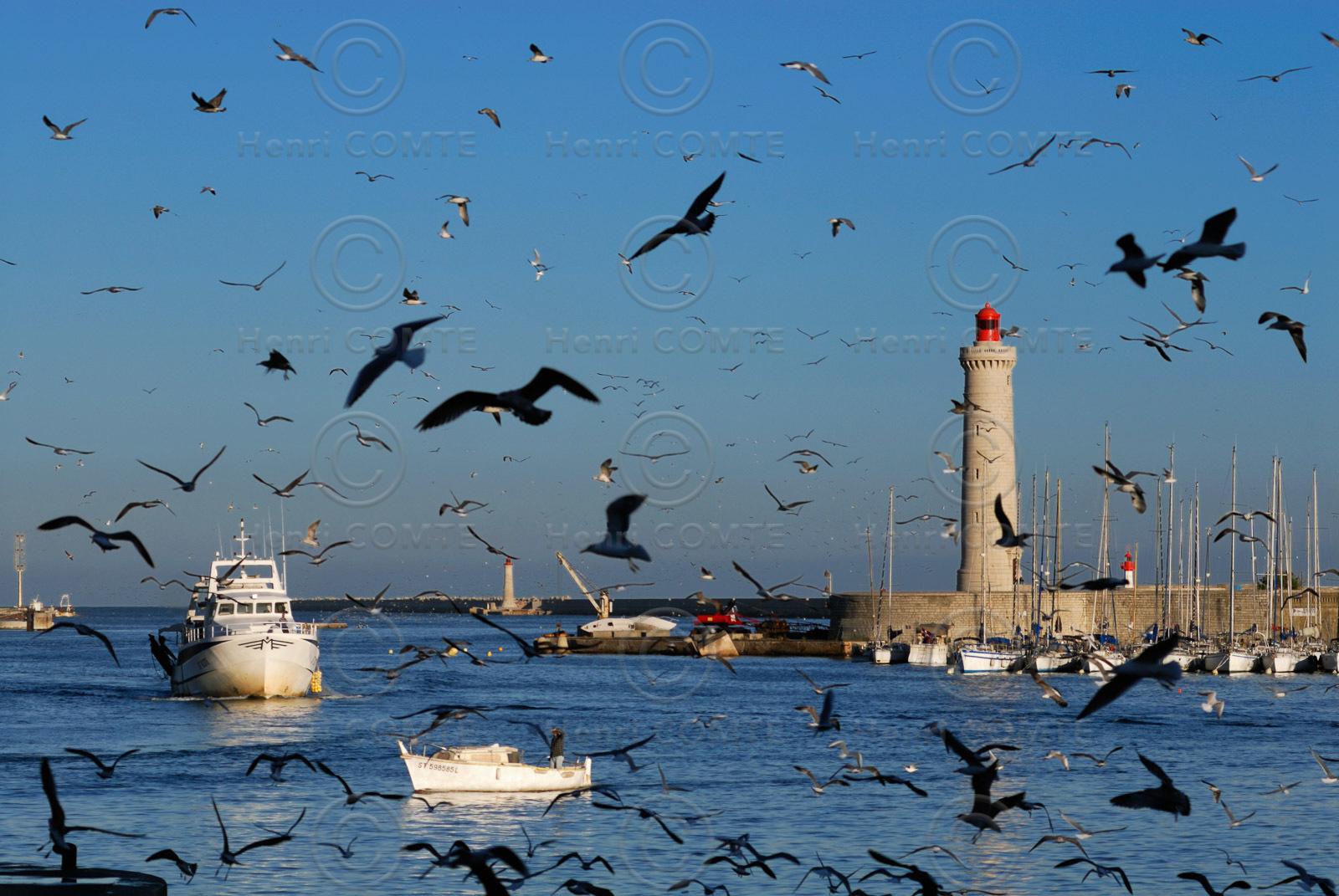 Sete