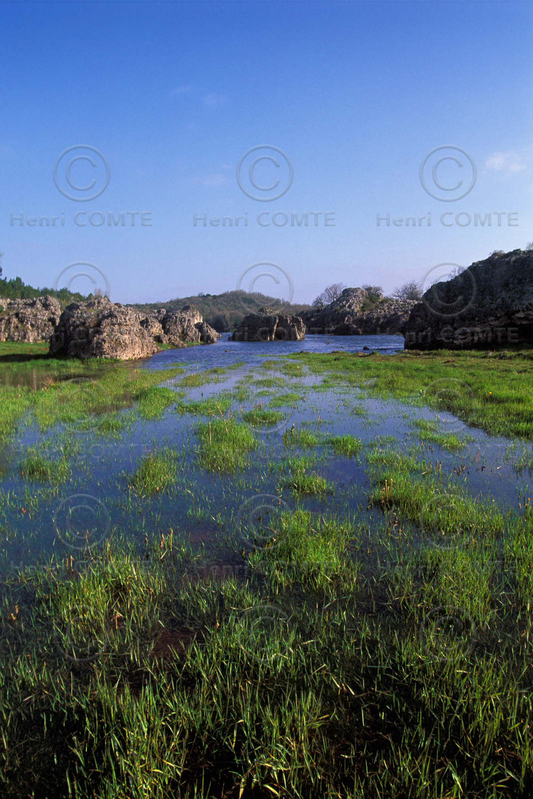 Le lac des Rives