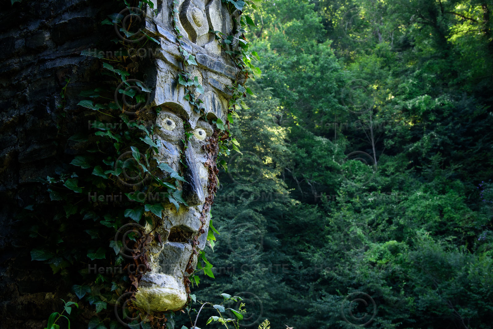 Le jardin de pierres