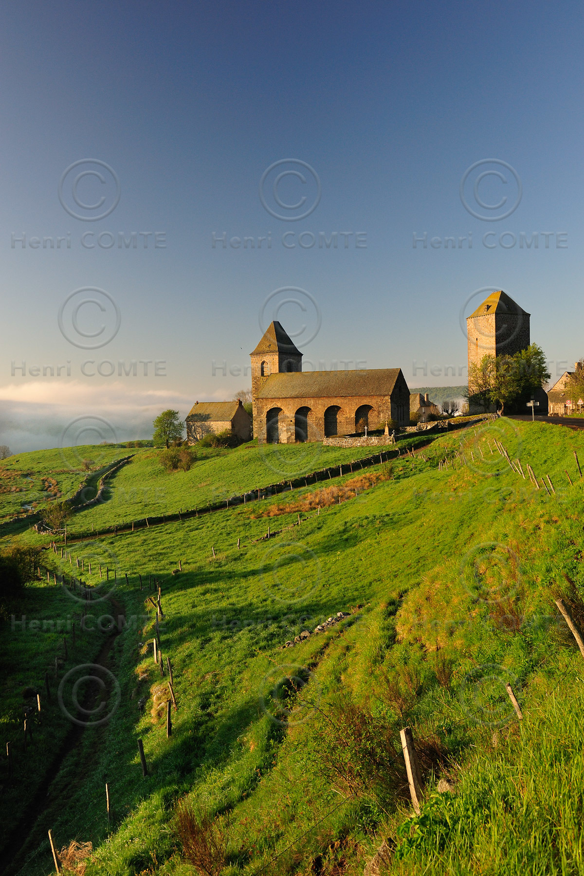Aubrac