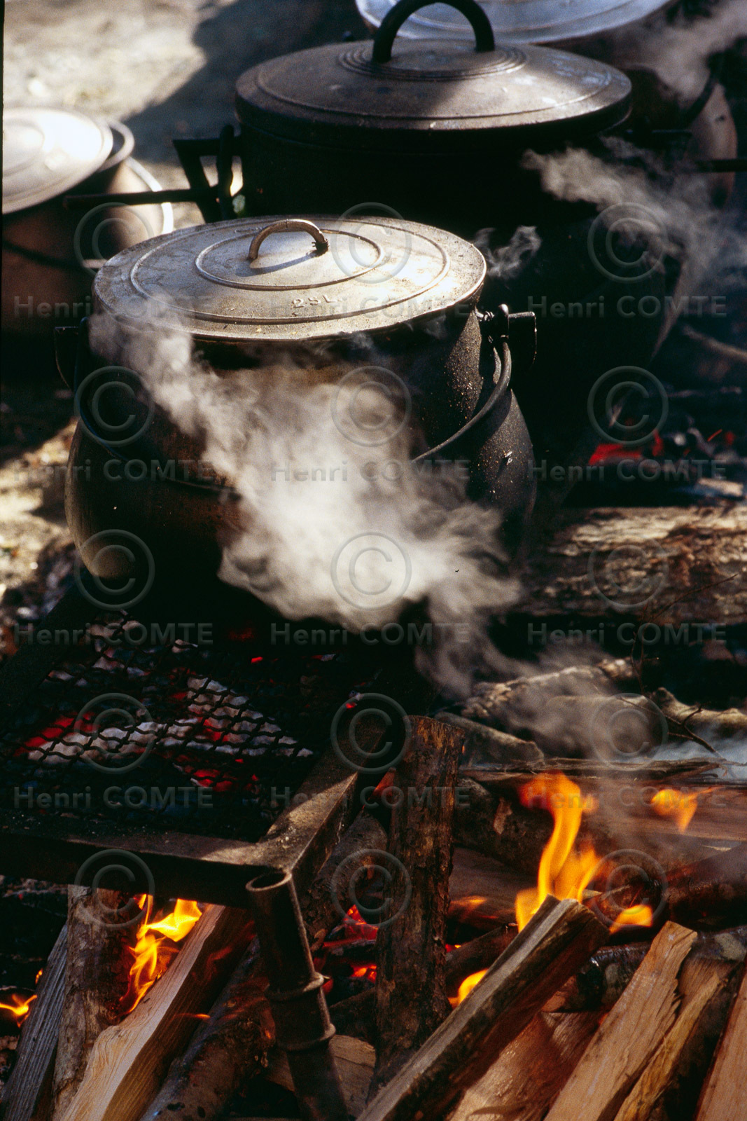 Fête du cochon