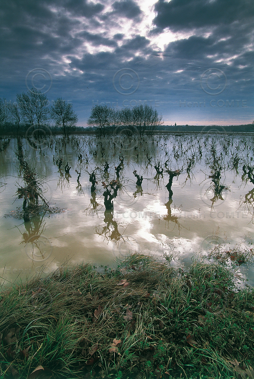 Plaine inondée