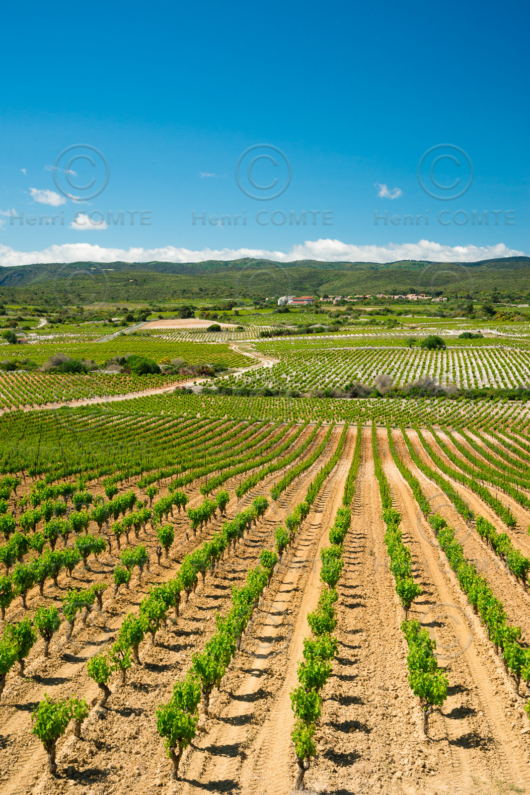 Minervois